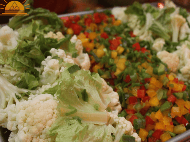 Galeria de fotos Alvorada (640 x 480 px)